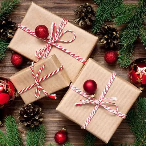 Holiday Gifts 2025